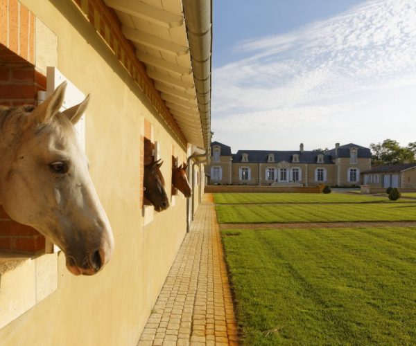 CHATEAU-DE-ROUILLAC-PHOTOS-VUE-CHATEAU-1024x682