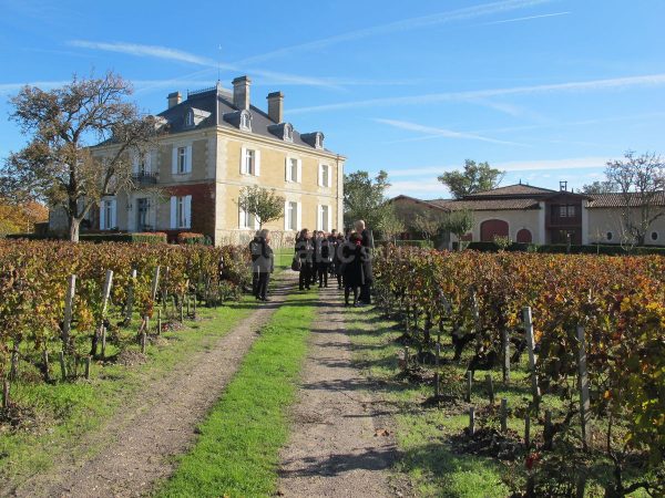 chateau-haut-bailly-1